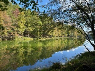 Autumn trees reflected in a still lake
